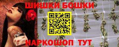 a pvp Новозыбков