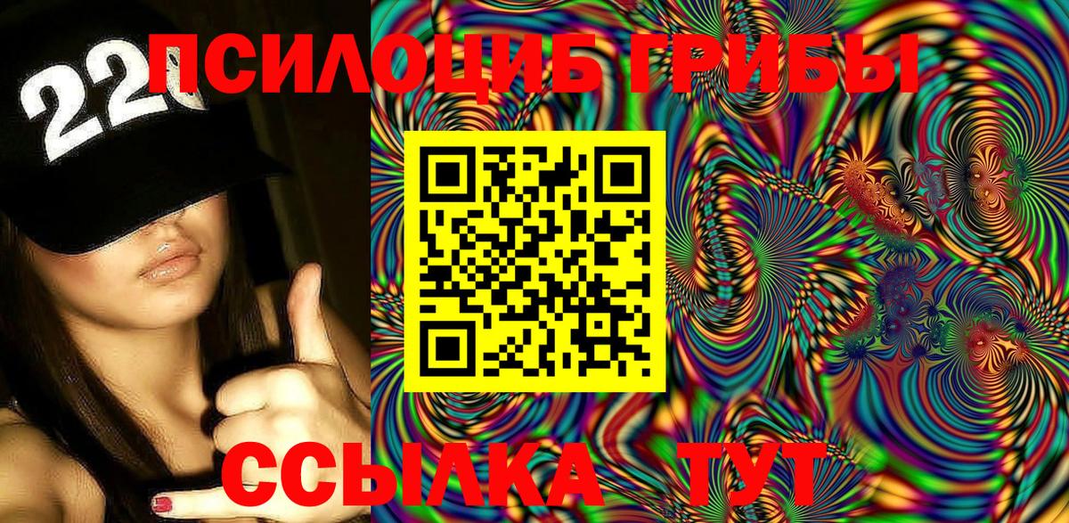 Галлюциногенные грибы мухоморы  цена   Троицк  Вход с VPN 