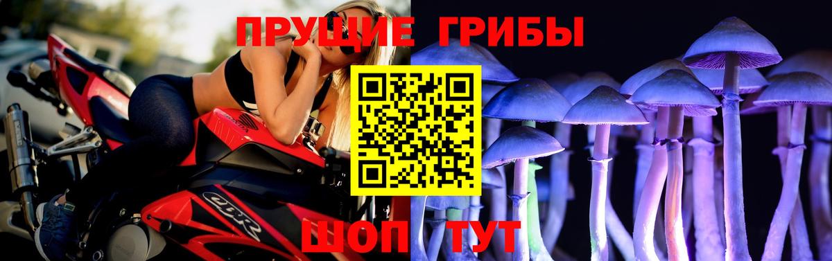 Псилоцибиновые грибы Psilocybine cubensis Троицк
